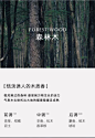 赤雅韵坊日照金山扩香石摆件装饰灯伴手礼新年礼物送闺蜜小众香薰-tmall.com天猫