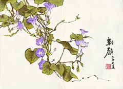 【插画师昔酒011的作品欣赏】
昔酒：别名：昔酒011，昔酒，零一一。插画师、绘本作者。湖南岳阳人，毕业于北京电影学院动画艺术专业。2009年开始商业创作，画风细腻质朴，色彩柔和清新，故事平淡而精妙。曾创作系列插图《梦中梦》《乐湖之誓》等经典作品。在《绘心》《画匣子》《九州志》《新蕾》等多本杂志发表插图及绘本作品。曾获第七届金龙奖最佳插画奖。