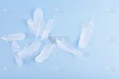 蓝色背景上有很多白色的羽毛。浅色调和选择性聚焦。副本的空间。