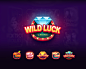 UI/UX Game Designer and Game Artist - Wild Luck Casino for Viber - UI/UX : Social Casino slot game UX UI design, made for viber, mobile version.