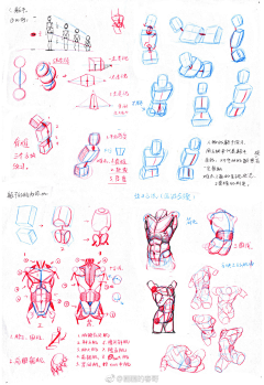 Sophia舒珦采集到练习