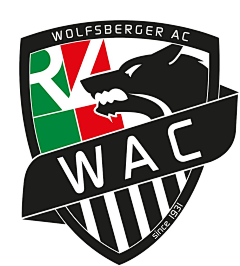 搓澡巾采集到LOGO FOOTBALL
