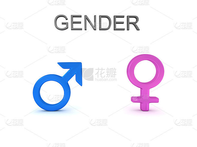 男性和女性性别符号和性别文本的3D渲染