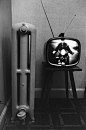 Lee Friedlander
: 