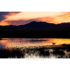 梦回呼伦贝尔_内蒙古_黄河上下_光影天下_数码生存-小林的摄影设计手绘文字