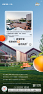 @木兰花開日，点击进入主页有更多参考，地产常规系列稿，微信稿，飞机稿，日常刷屏稿