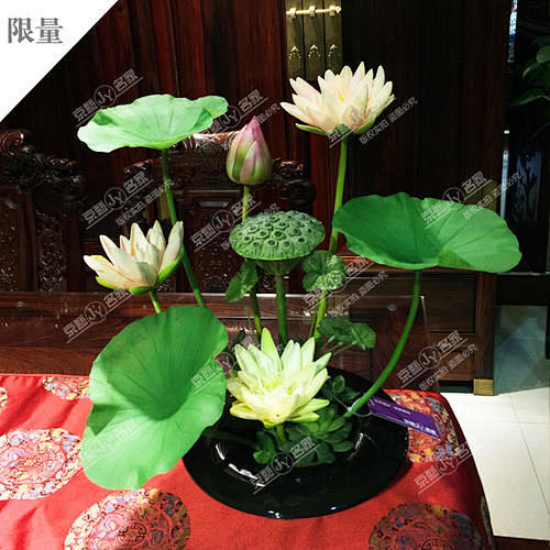 点击查看源网页