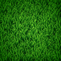 How to Create Vector Grass in Illustrator by lazunov