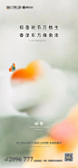 惊蛰地产海报-源文件