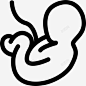 婴儿胚胎胎儿图标 免费下载 页面网页 平面电商 创意素材