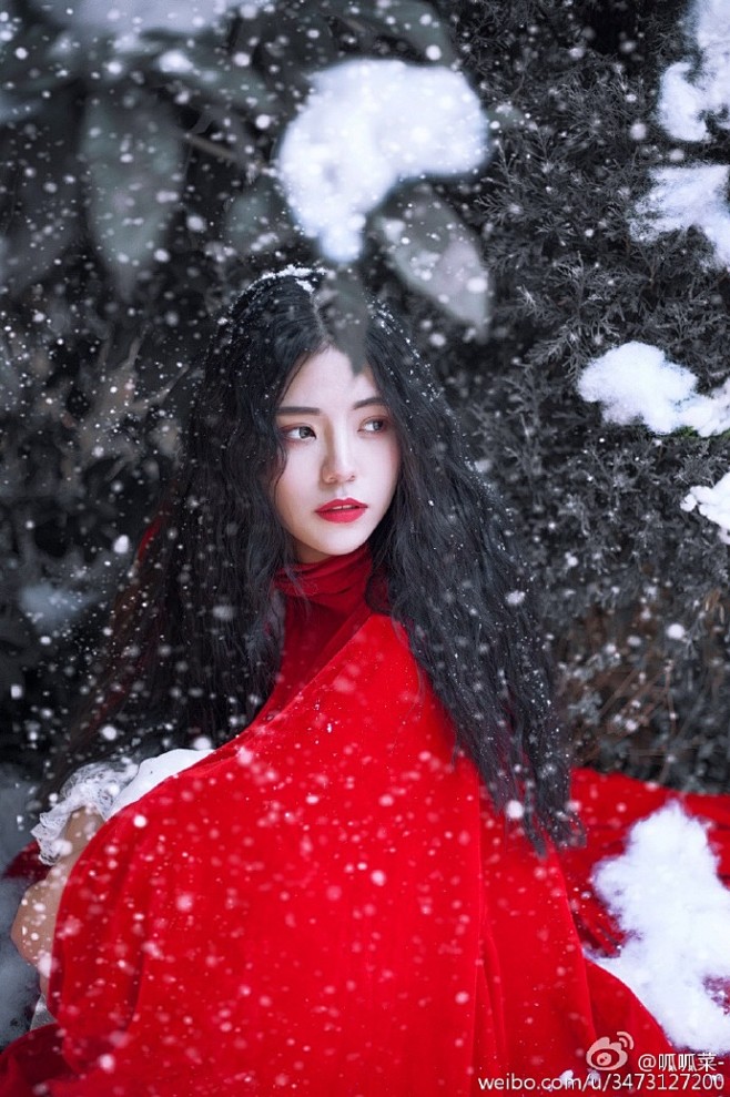 下雪下雪啦❄️❄️❄️出镜@美喵喵喵喵 ...