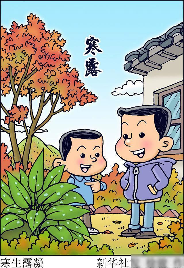 （图表·漫画）「二十四节气·寒露」寒生露...