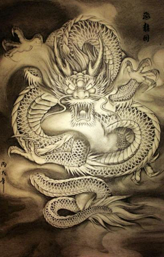 月朦胧q采集到龙