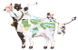 牛1