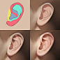 耳朵画法