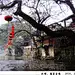 点击查看源网页