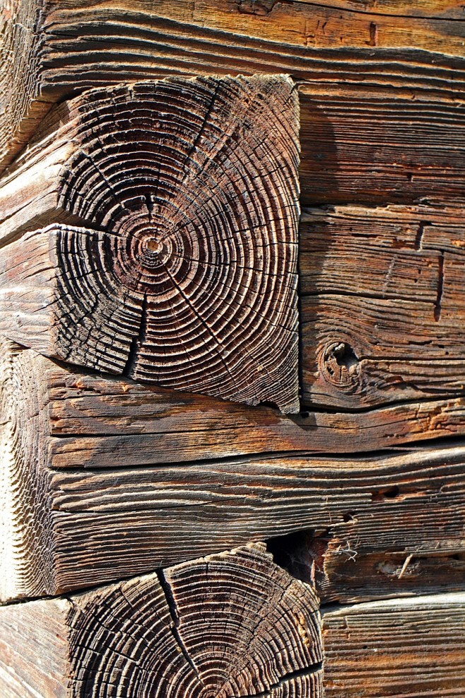 Free Background Wood...