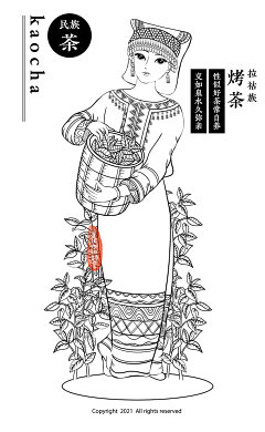 中国五十六民族茶文化-拉祜族采茶女-烤茶