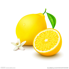 mimo小考采集到柠檬