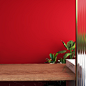 红色背景新年素材桌子植物主图