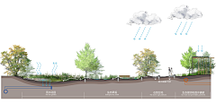 瑞WANG采集到10--雨水花园