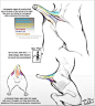 Pin page