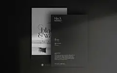时尚精美黑白风品牌VI设计明信片卡片名片信纸海报设计展示PSD样机模板 Black &amp; White Stationery Mockup Set插图5