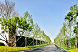 点击查看源网页__园路/道路/汀步景观ROAD STREET PATH  _T2020225