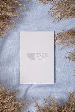 白色空白纸卡模型与蒲苇干草蓝色中性色纺织品