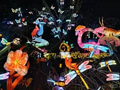 成都千灯之夜 - 小红书搜索