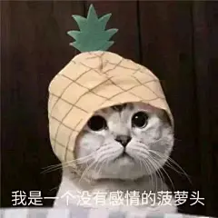 关注画板不迷路