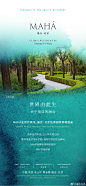 缦合北京的微博_微博