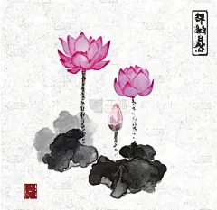 用墨水手绘的荷花