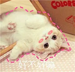 冷酷喵表情包_冷酷喵表情包下载_冷酷喵动态gif表情图-4399聊天表情包大全