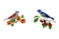 S&P Bird : Illustration X S&PClient X S&P