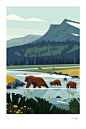 Image of YELLOWSTONE - Grizzly family