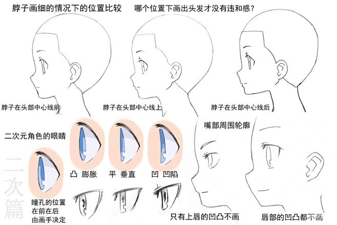 侧脸讲座——二次元 - 优动漫 动漫创作...