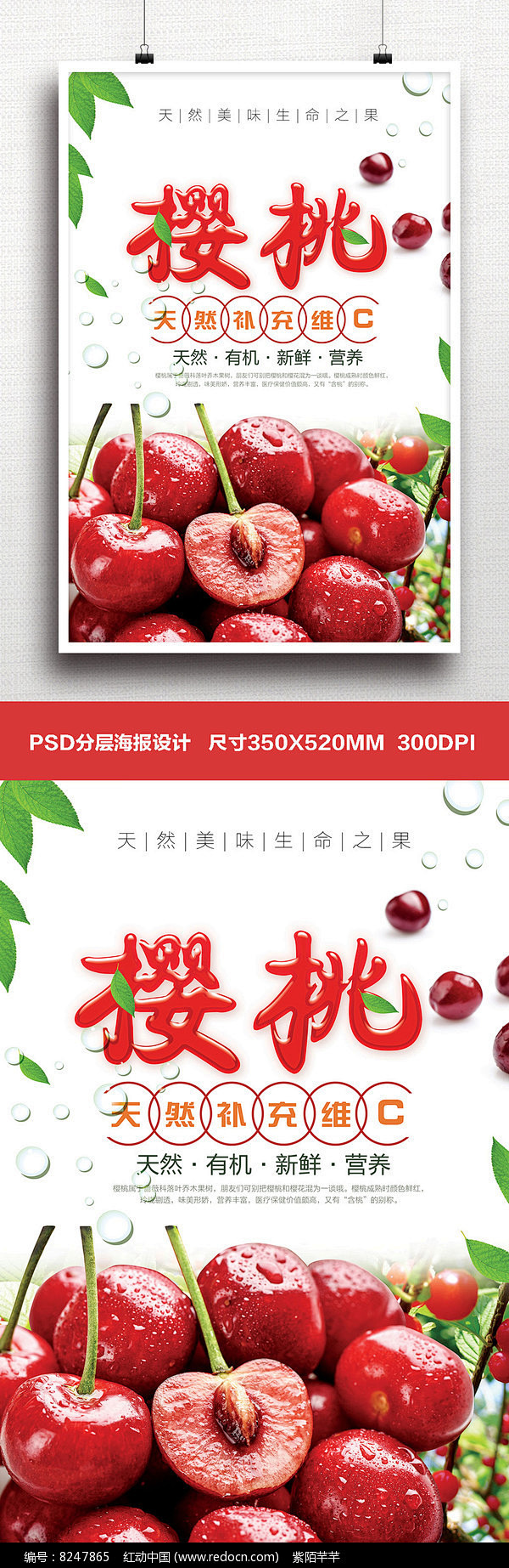 大气时尚清新红色水果樱桃宣传海报图片