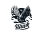 Zenith hawk 鹰 雄鹰 飞行动物 鸟 运动 健将  商标设计  图标 图形 标志 logo 国外 外国 国内 品牌 设计 创意 欣赏