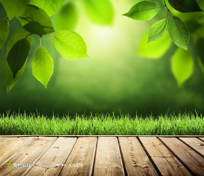 阳光绿叶木地板摄影背景桌面壁纸图片素材