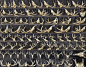 different_angles_of_a_deer_skull_by_clz-d6528l2.jpg (3000×2342)