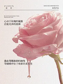 肌肤花期 - 小红书