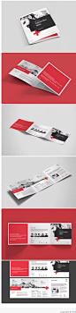 TriFold Business Square Brochure - Design Template Place