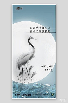 致图网小于采集到白露海报
