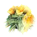 丫霸啊啊