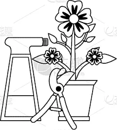 植物群,园艺器具,黑白图片,园艺,可爱的,华丽的,浪漫,自然美,洋葱花,花