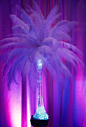 Neon feathers! ●● #purple #pourpre #photography #picture #photo #color #violet #viola || Follow http://www.pinterest.com/lcottereau/just-purple/