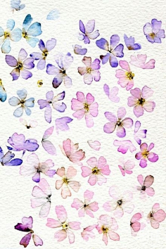 花之水彩-花瓣网|陪你做生活的设计师