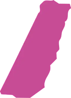 卡通儿童手绘涂鸦黑板粉笔图案透明背景免抠PNG AI矢量PS素材 (1181)