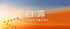 白露节气祝福实景白鹭公众号首图